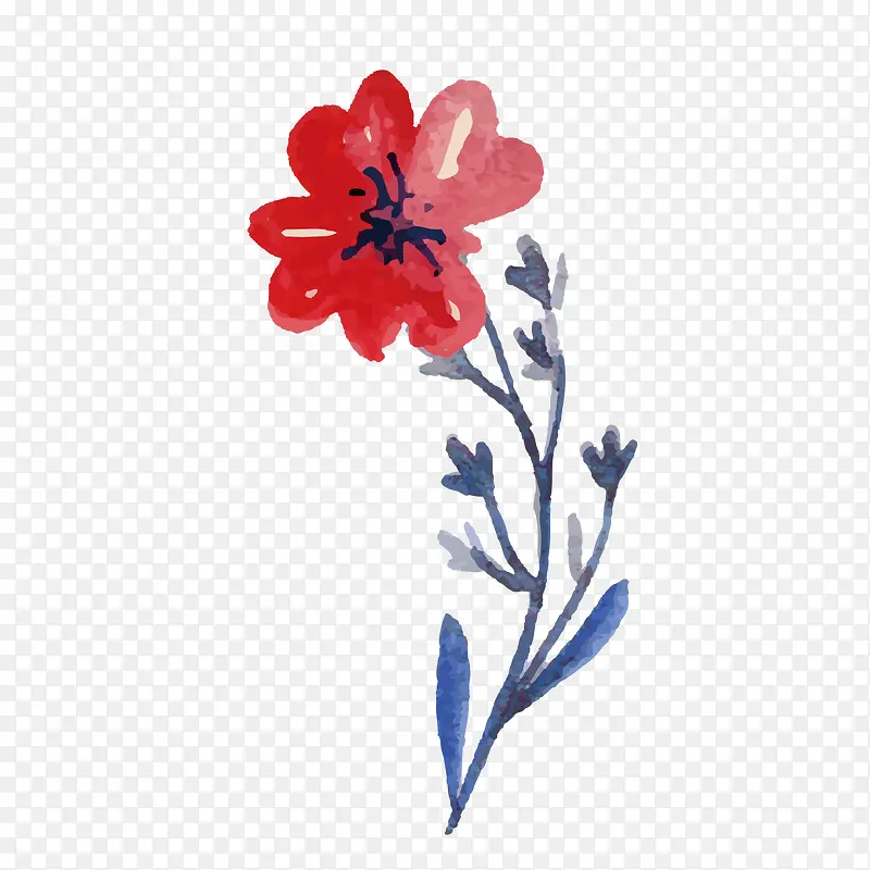 矢量红色手绘插画花卉