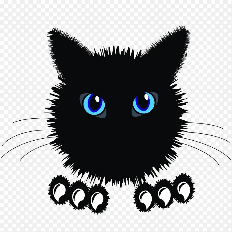 黑色小猫咪的表情
