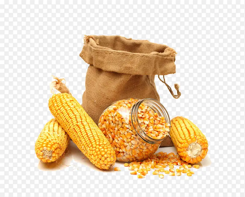 玉米与玉米粒
