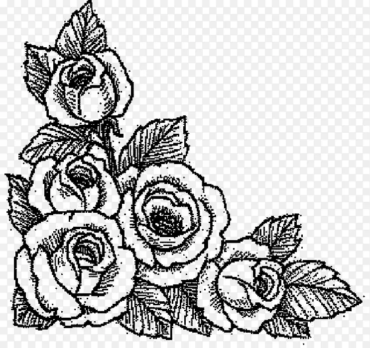 五朵玫瑰花素描画