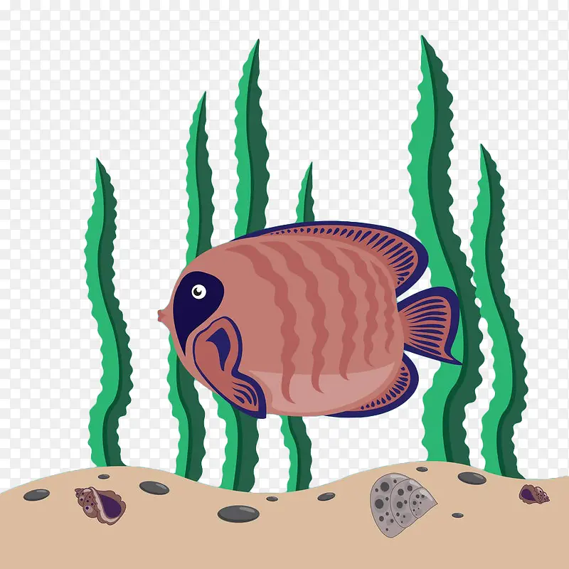 手绘海藻和鱼