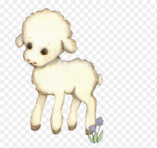 可爱小羊羔