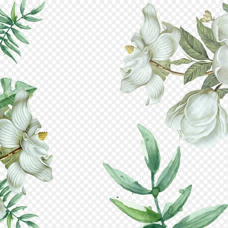 高贵白色立体花朵