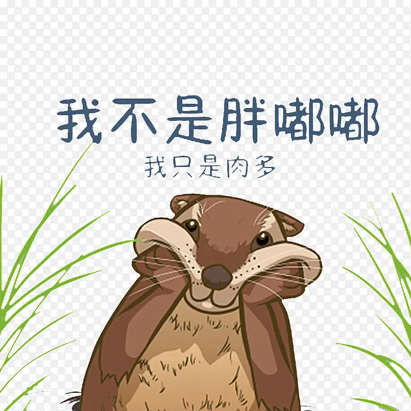 胖胖的小松鼠