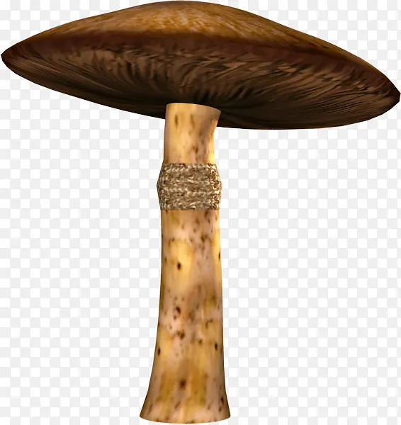 深色蘑菇