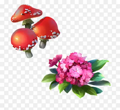 蘑菇石竹花
