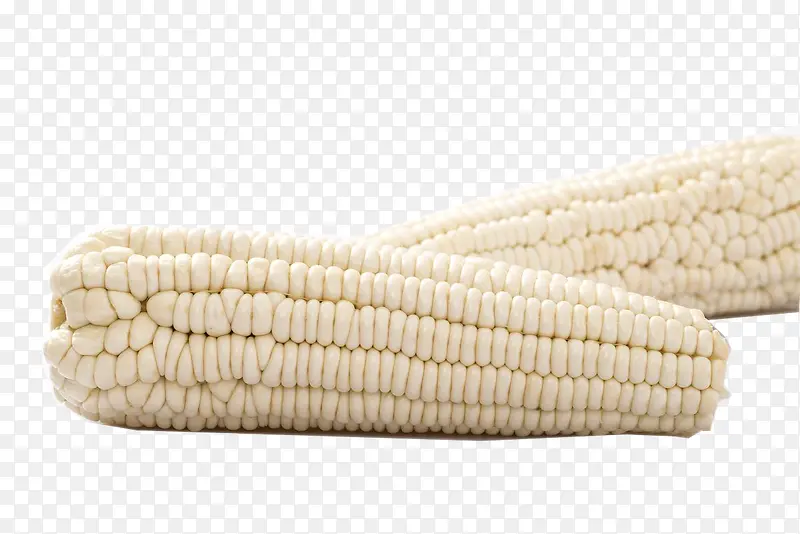 两根白玉米png大图