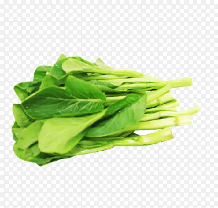 绿色小白菜