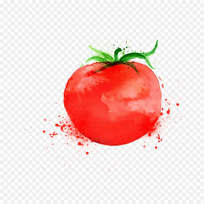 手绘番茄矢量图下载