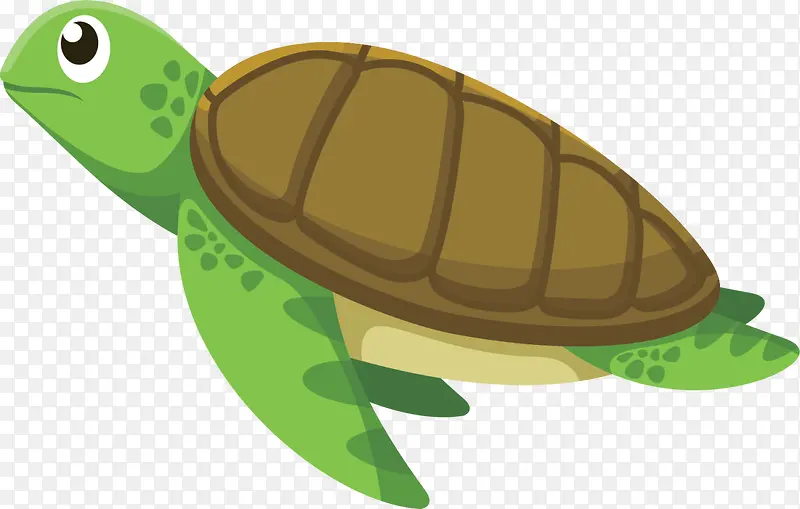 绿色卡通大海海龟