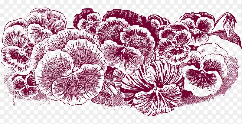 手绘素描线稿花卉