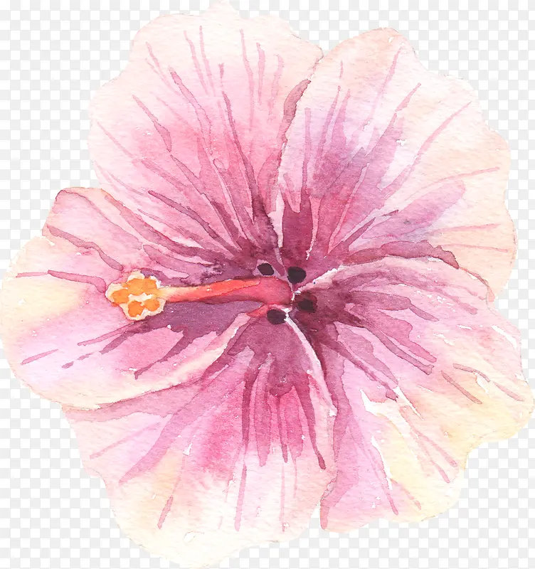 手绘水彩粉色樱花