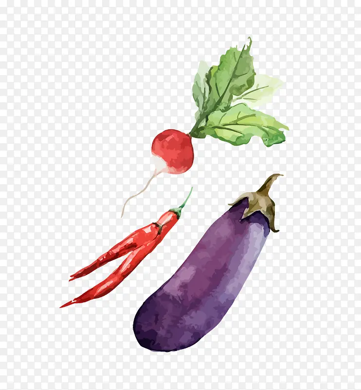 矢量彩色手绘蔬菜茄子辣椒萝卜
