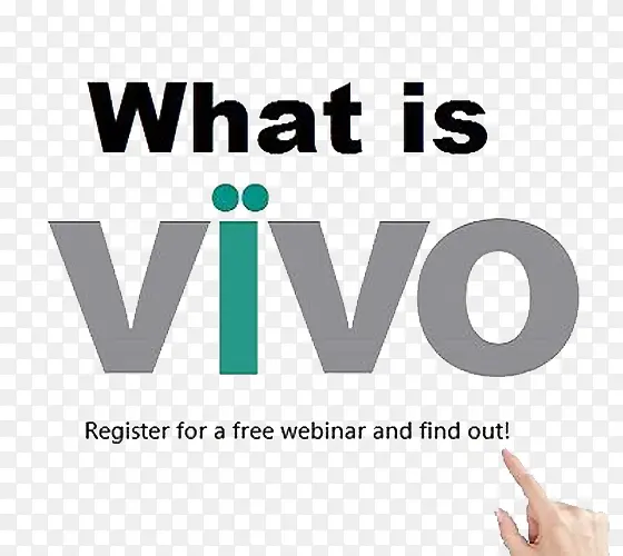 what  is  vivo