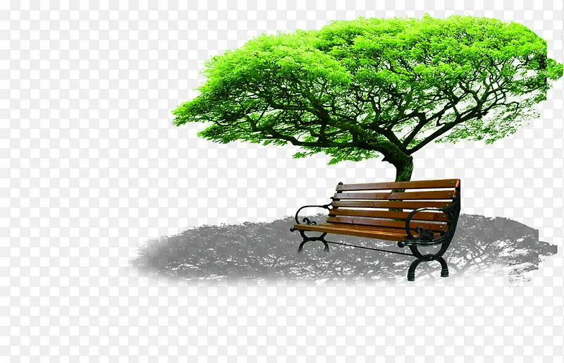 小清新绿色大树公园椅子效果