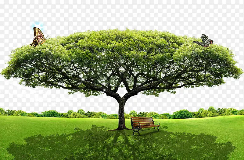 大树绿地自然景观
