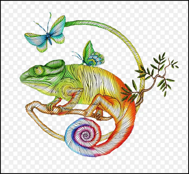 彩色的手绘蜥蜴素材