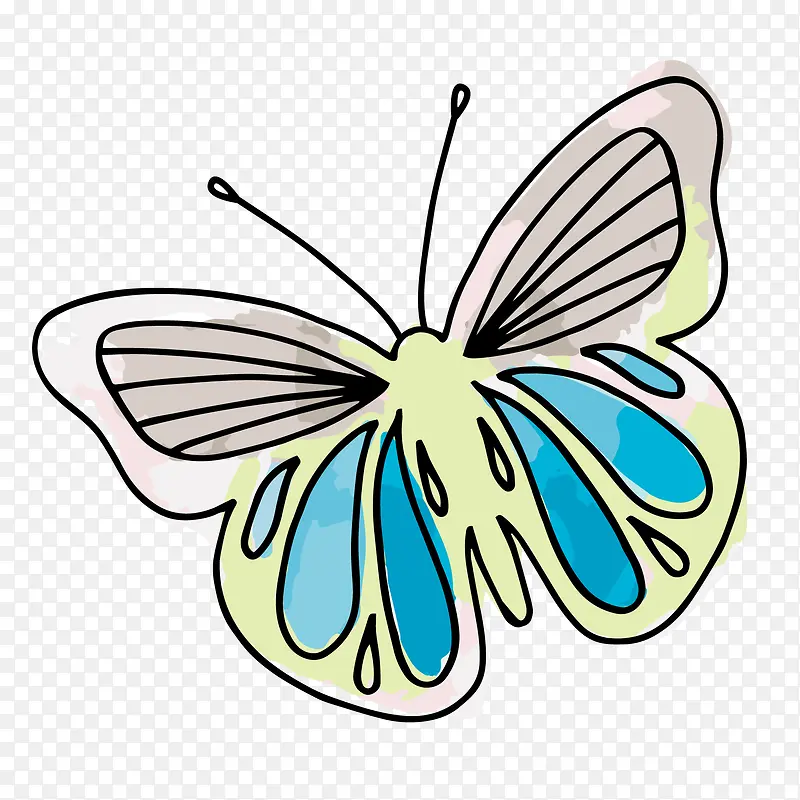 彩绘手绘蝴蝶设计