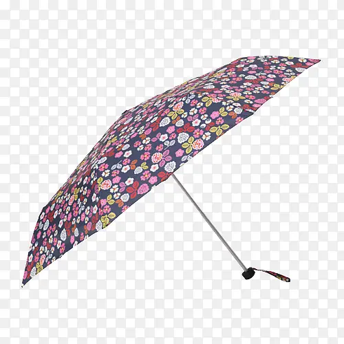 伞小花伞