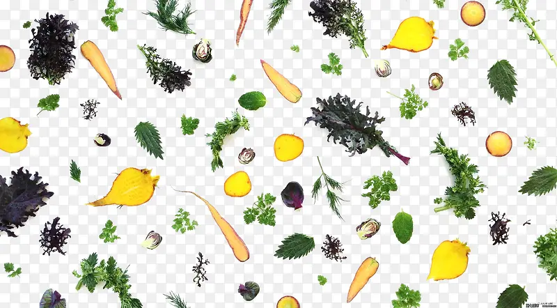 蔬菜背景壁纸