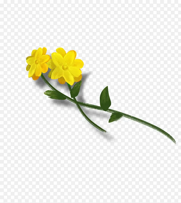 手绘插画黄色油菜花