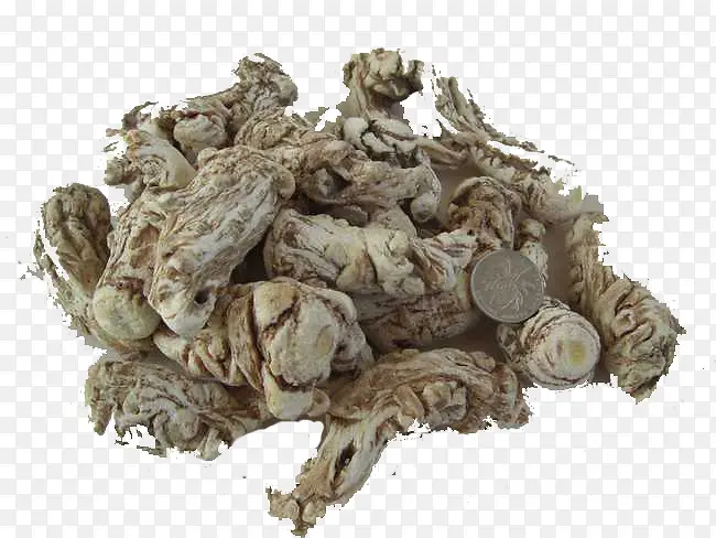 一堆当归根