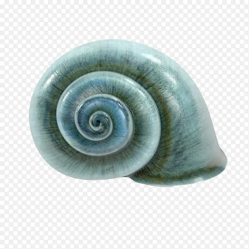 蓝色蜗牛形状花纹大海螺