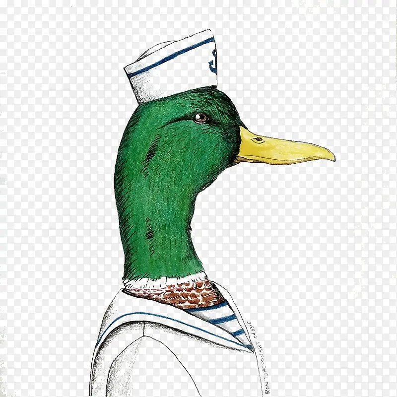 彩绘鸭子图案