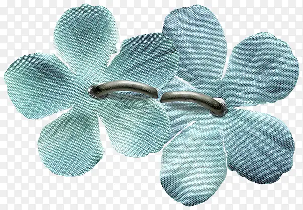 两朵蓝色的塑料小花