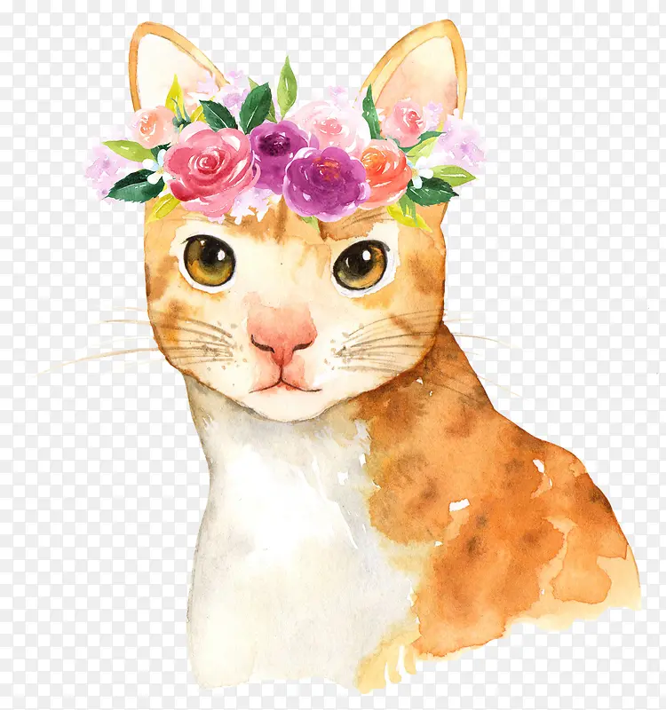 手绘戴鲜花的猫装饰