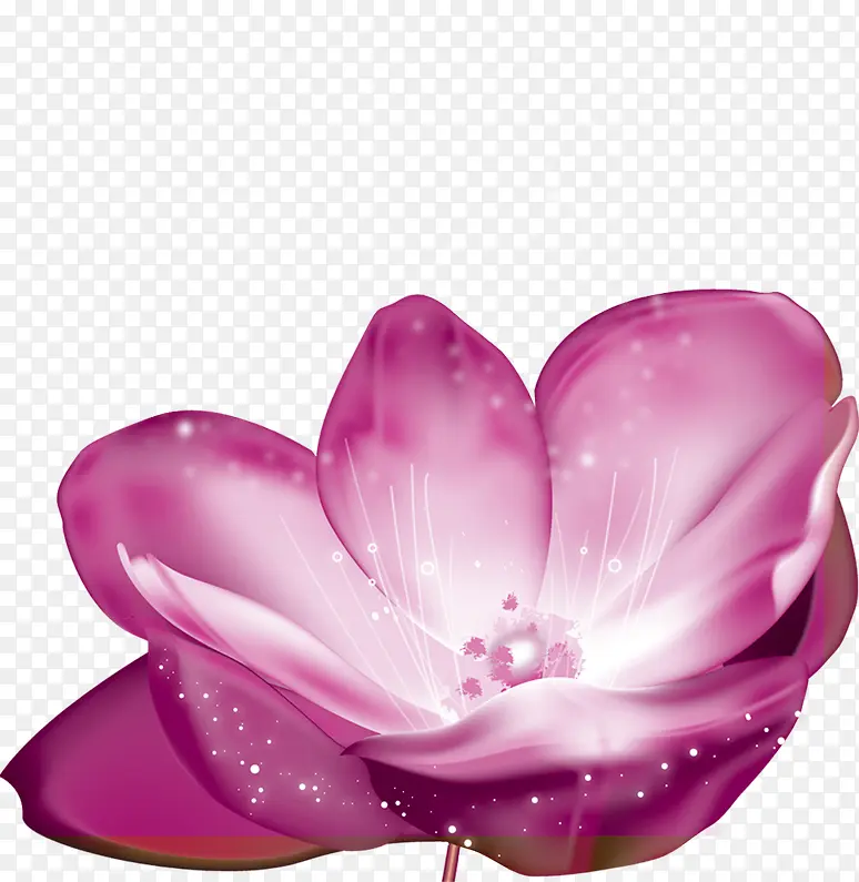 鲜艳开放的紫色花朵白色光点