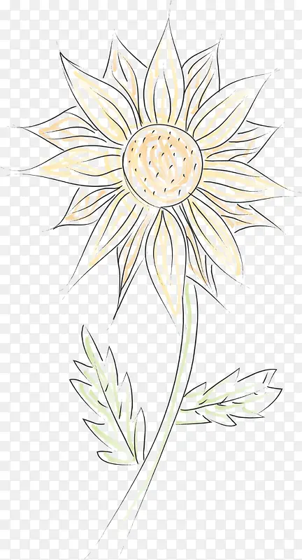 简易手绘向日葵花