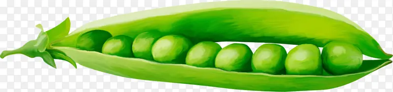 绿色豌豆荚