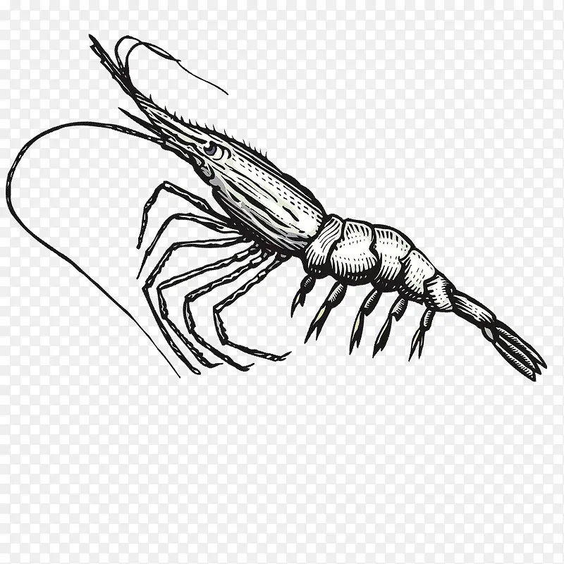 水平画幅小龙虾免抠png