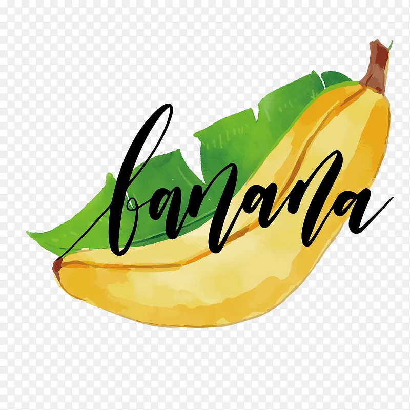 字母印花水果香蕉