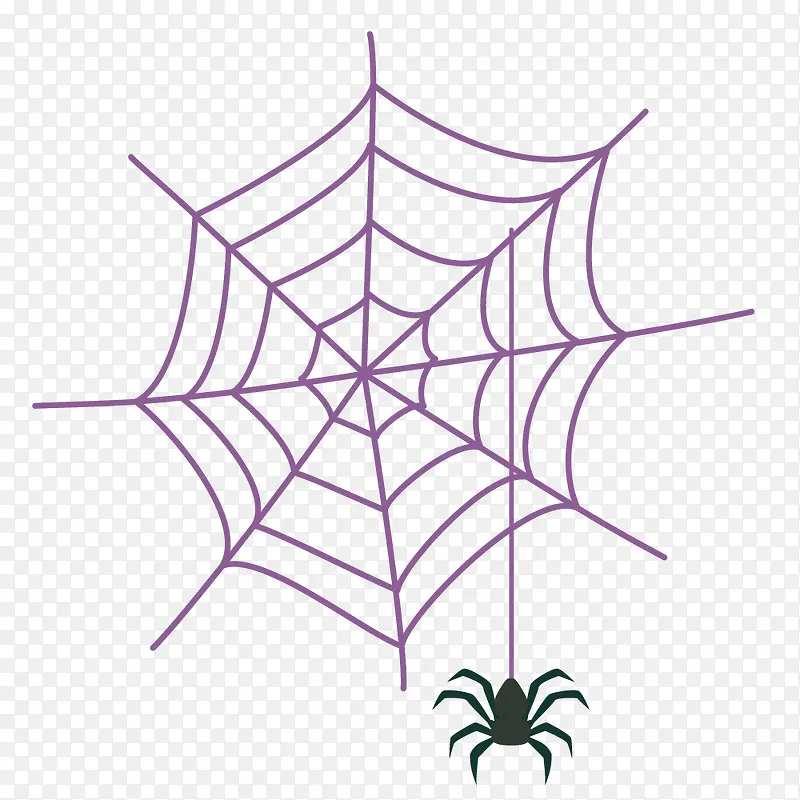 织网的黑色大蜘蛛