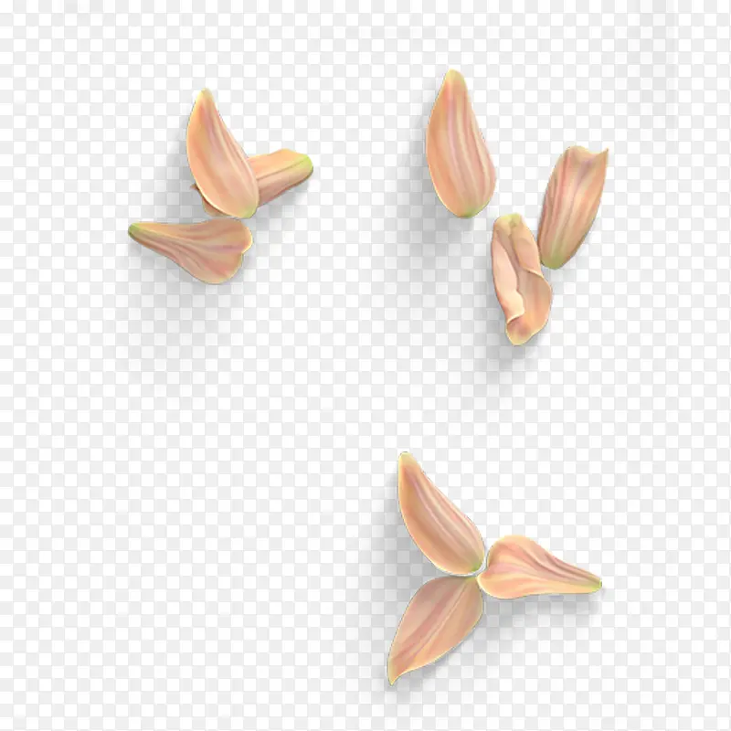 凌乱的花瓣