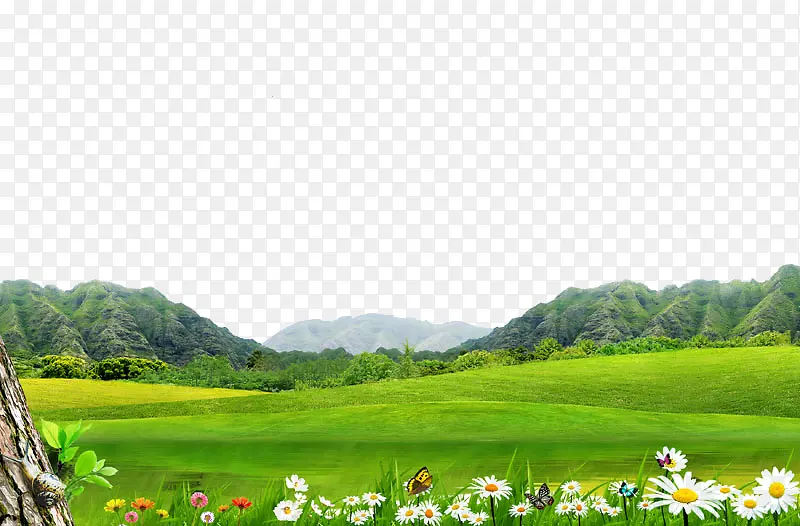 草地草坪 花草