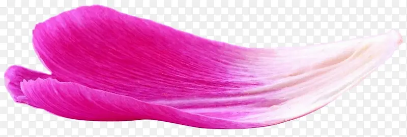 一片粉色花瓣