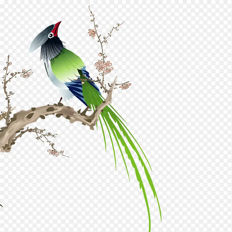 长尾鸟图案