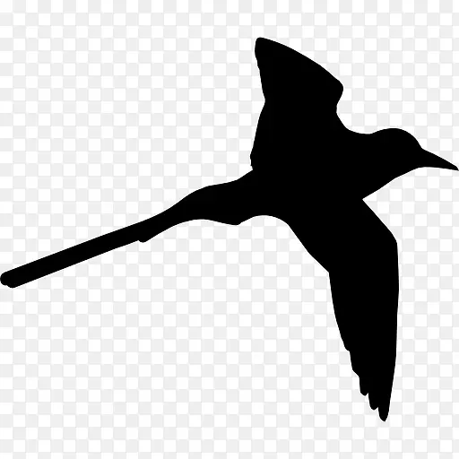 热带鸟形长尾图标