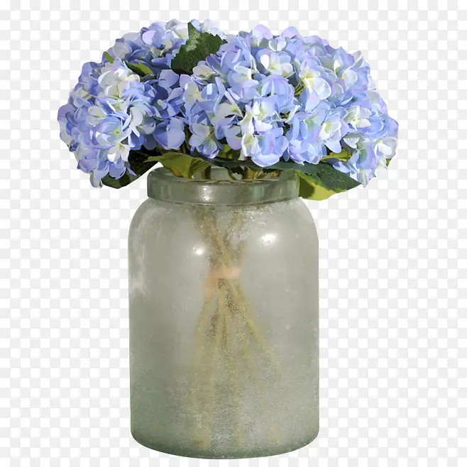 花瓶绣球花