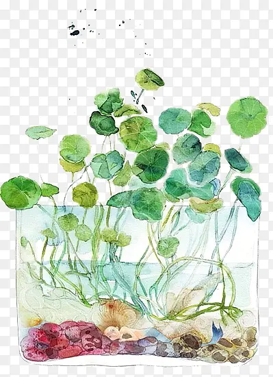 矢量手绘水生植物