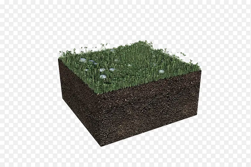 园艺土壤草地植被