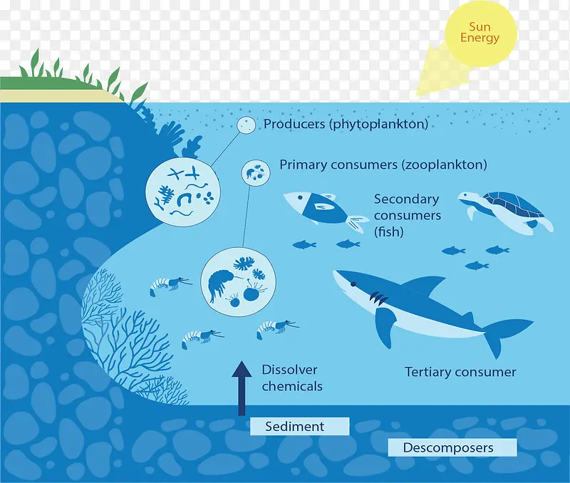 海洋水循环生态系统