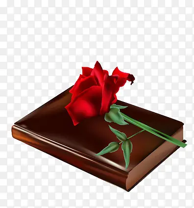 棕色书皮的书本上的玫瑰花