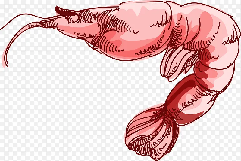 卡通手绘粉色基围虾