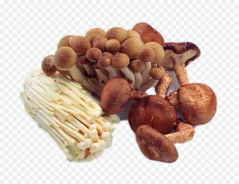 白色金针菇和香菇食材