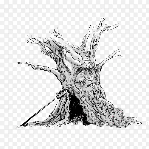 古老的树木根部手绘