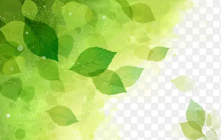 斜边树叶凋落